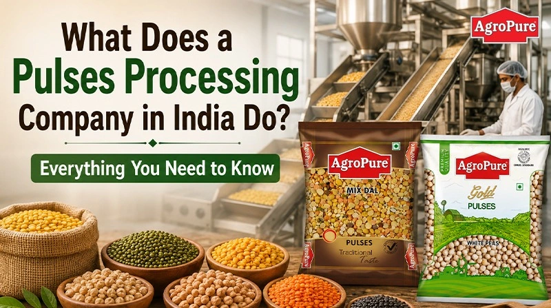 What Does a Pulses Processing Company in India Do? Everything You Need to Know
