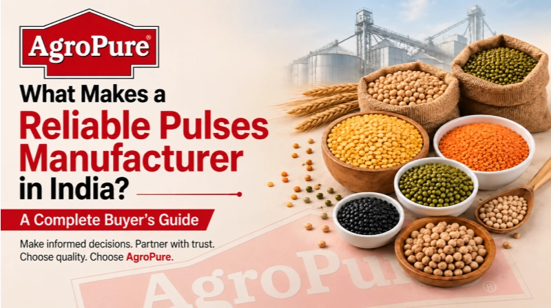 What Makes a Reliable Pulses Manufacturer in India? A Complete Buyer’s Guide