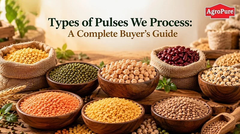 What Does a Pulses Processing Company in India Do? Everything You Need to Know