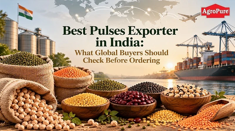 Best Pulses Exporter in India: What Global Buyers Should Check Before Ordering